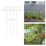 Maxbell Garden Trellis Decorative Plant Support Trellis for Vines Flowers Vegetables 75x50cm