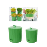 Maxbell Seedling Starter Tray Big Capacity Plant Grow Trays for Cat Grass Wheatgrass L