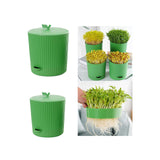 Maxbell Seedling Starter Tray Big Capacity Plant Grow Trays for Cat Grass Wheatgrass L