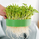 Maxbell Seedling Starter Tray Big Capacity Plant Grow Trays for Cat Grass Wheatgrass L
