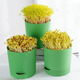 Maxbell Seedling Starter Tray Big Capacity Plant Grow Trays for Cat Grass Wheatgrass L