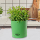 Maxbell Seedling Starter Tray Big Capacity Plant Grow Trays for Cat Grass Wheatgrass L