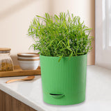 Maxbell Seedling Starter Tray Big Capacity Plant Grow Trays for Cat Grass Wheatgrass L