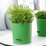 Maxbell Seedling Starter Tray Big Capacity Plant Grow Trays for Cat Grass Wheatgrass L