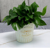 Maxbell Metal Hanging Flower Pot Garden Decoration Outdoor Railing Fence Hanging Pot Large White