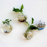 Maxbell 5 Pieces Hydroponic Vase Wall Hooks Planter for Bathroom Coffee House Office 10cm