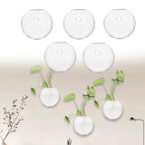 Maxbell 5 Pieces Hydroponic Vase Wall Hooks Planter for Bathroom Coffee House Office 10cm