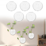 Maxbell 5 Pieces Hydroponic Vase Wall Hooks Planter for Bathroom Coffee House Office 10cm