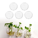 Maxbell 5 Pieces Hydroponic Vase Wall Hooks Planter for Bathroom Coffee House Office 10cm