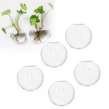 Maxbell 5 Pieces Hydroponic Vase Wall Hooks Planter for Bathroom Coffee House Office 10cm