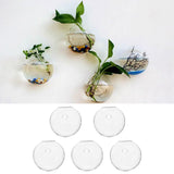 Maxbell 5 Pieces Hydroponic Vase Wall Hooks Planter for Bathroom Coffee House Office 10cm
