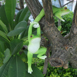 Maxbell Flower Pot Hugger Figurine Hanging Animal Sculpture Fence Garden Frog Statue