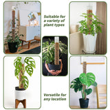 Maxbell Self Watering Plant Pole Help Plants Grow Upward for Monstera Flower Creeper 37 cm