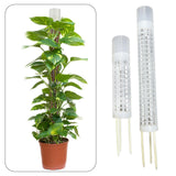 Maxbell Self Watering Plant Pole Help Plants Grow Upward for Monstera Flower Creeper 37 cm