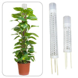 Maxbell Self Watering Plant Pole Help Plants Grow Upward for Monstera Flower Creeper 37 cm