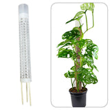 Maxbell Self Watering Plant Pole Help Plants Grow Upward for Monstera Flower Creeper 37 cm
