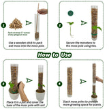 Maxbell Self Watering Plant Pole Help Plants Grow Upward for Monstera Flower Creeper 37 cm