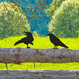 Maxbell 3Pcs Metal Art Crow Metal Birds Crafts Garden Decoration for Wall Patio Lawn