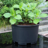Maxbell Plant Pot Planting Gardening Pot Simple Flowerpot for Roses House Plants 30 cm