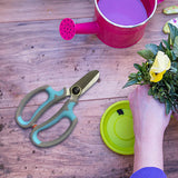 Maxbell Gardening Scissors Professional Floral Scissors for Fruits Picking Home Yard Blue Gray