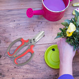 Maxbell Gardening Scissors Professional Floral Scissors for Fruits Picking Home Yard Rose Red Gray