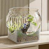 Maxbell Fish Tank for Home Decor for Beginners and Enthusiasts Transparent Fish Bowl S
