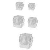 Maxbell Fish Tank for Home Decor for Beginners and Enthusiasts Transparent Fish Bowl S