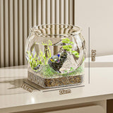 Maxbell Fish Tank for Home Decor for Beginners and Enthusiasts Transparent Fish Bowl S