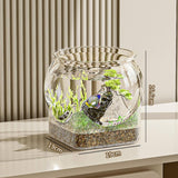 Maxbell Fish Tank for Home Decor for Beginners and Enthusiasts Transparent Fish Bowl M