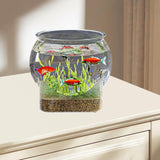 Maxbell Fish Tank for Home Decor for Beginners and Enthusiasts Transparent Fish Bowl L