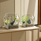 Maxbell Fish Tank for Home Decor for Beginners and Enthusiasts Transparent Fish Bowl L