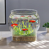 Maxbell Fish Tank for Home Decor for Beginners and Enthusiasts Transparent Fish Bowl L
