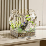 Maxbell Fish Tank for Home Decor for Beginners and Enthusiasts Transparent Fish Bowl L