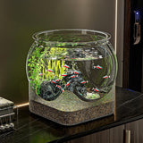 Maxbell Fish Tank for Home Decor for Beginners and Enthusiasts Transparent Fish Bowl XL