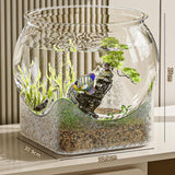 Maxbell Fish Tank for Home Decor for Beginners and Enthusiasts Transparent Fish Bowl XXL