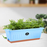 Flower Window Box Vegetable Planter Rectangular for Garden Kitchen Versatile Blue