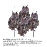 Maxbell 4Pcs Owl Decoy Lifelike Adornment Owl Statue for Farmhouse Orchard Outdoors