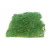 Maxbell Flower Grass Tuft Model Railway Artificial Grass for Miniature Scenery Decor Style A