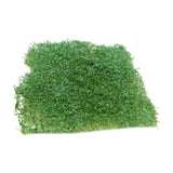 Maxbell Flower Grass Tuft Model Railway Artificial Grass for Miniature Scenery Decor Style A