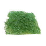 Maxbell Flower Grass Tuft Model Railway Artificial Grass for Miniature Scenery Decor Style A
