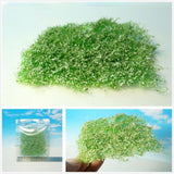 Maxbell Flower Grass Tuft Model Railway Artificial Grass for Miniature Scenery Decor Style A