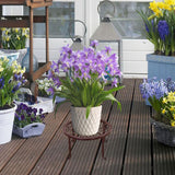 Maxbell Flower Pot Stand Multifunctional Convenient Heavy Duty for Patio Home Garden Brown