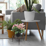 Maxbell Black Iron Planter Stand Holder Round Display Rack for Indoor Outdoor Sturdy