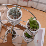Maxbell Sky Wheel Shaped Flower Pot Holder Cute Planter for Office Home Decor Garden