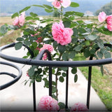 Maxbell Garden Obelisk Trellis Metal Plant Trellis for Climbing Plants Flowers Vines 160cm Black