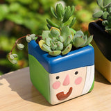 Maxbell Planter for Succulents Multipurpose for Shop Window Indoor/Outdoor Courtyard Style C