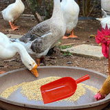 Maxbell Poultry Feeding Scoop Easy to Carry Practical Multifunctional Feeding Gadget 40cmx18.5cm