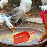 Maxbell Poultry Feeding Scoop Easy to Carry Practical Multifunctional Feeding Gadget 41cmx24.5cm