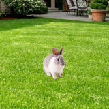Maxbell Rabbit Animal Statue Stake Garden Rabbit Decoration for Porch Backyard Patio Style A
