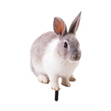 Maxbell Rabbit Animal Statue Stake Garden Rabbit Decoration for Porch Backyard Patio Style A